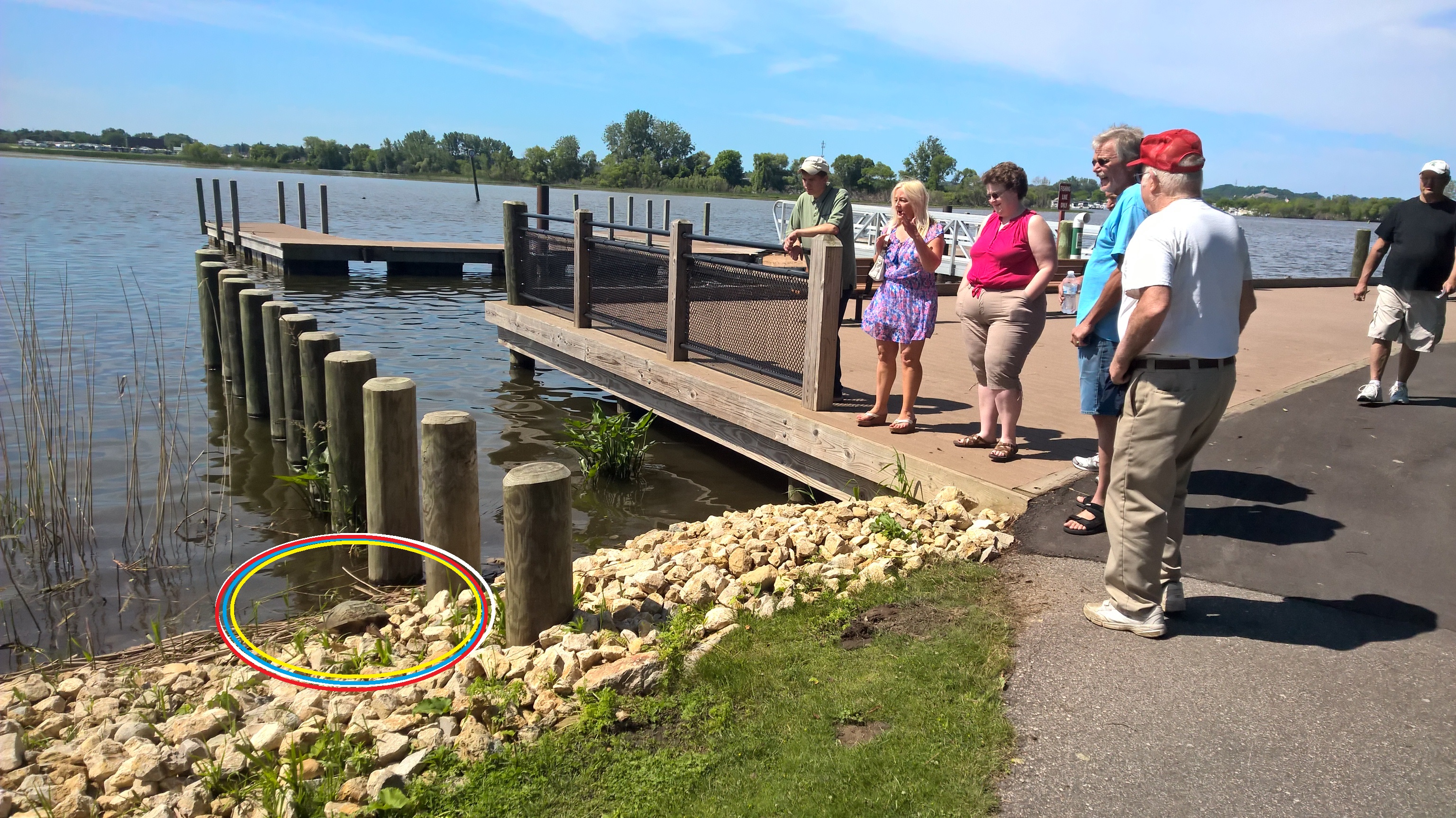 mill-point-park-meet-saturday-june-11-2016